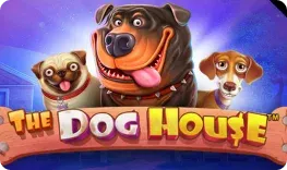 Brango Casino offre il gioco online The Dog House